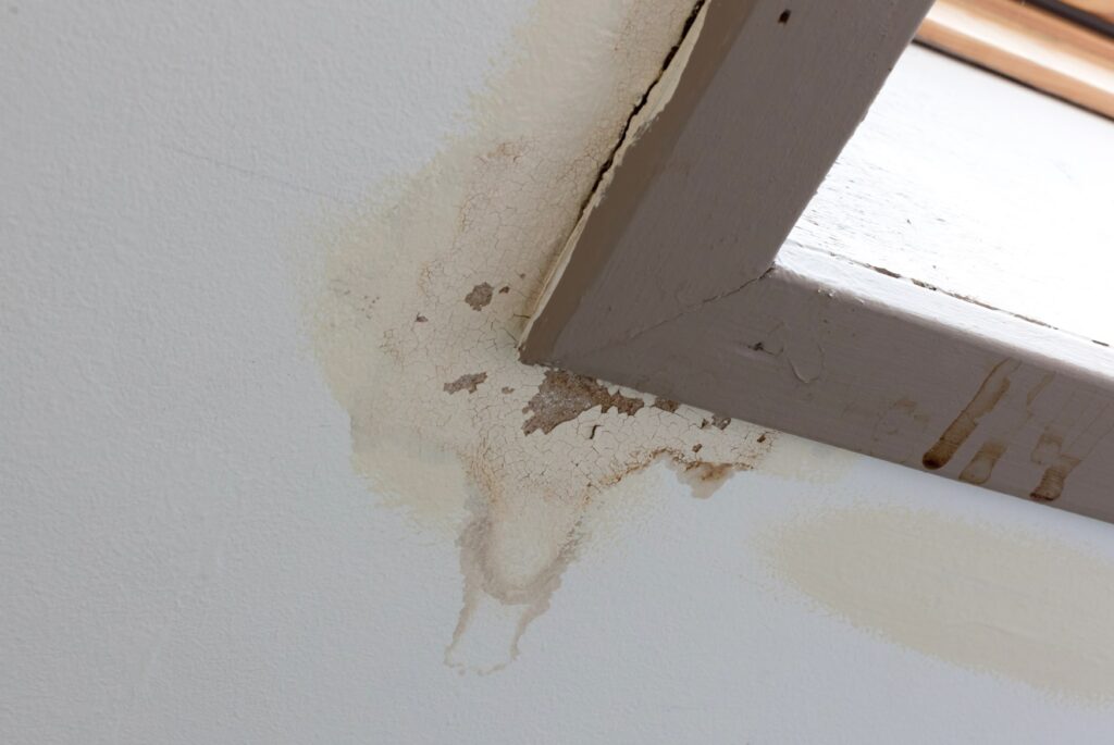 Top Signs Your Skylight Needs Repair Before It Causes Bigger Damage
